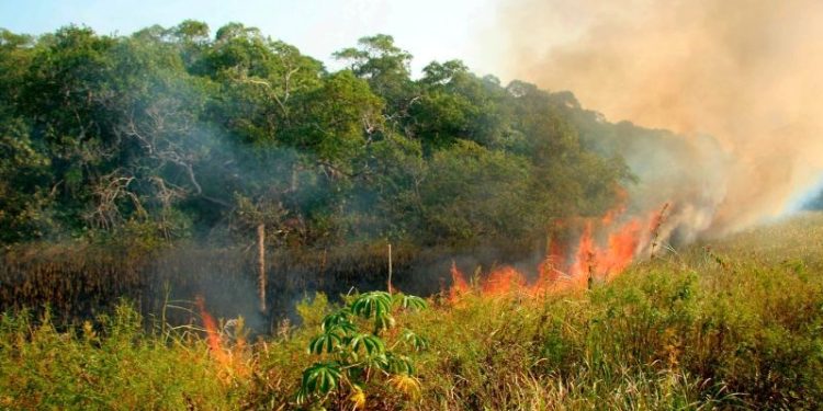 Risco de incêndio: SEMA reforça medidas de prevenção e contato de emergência