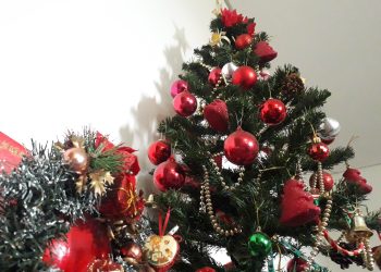 Copel alerta para cuidados na compra e instalação da decoração natalina