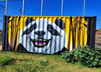 Espaços públicos ganham visual artístico com Graffiti em Campo Mourão