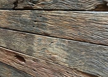 Antes rejeitadas, as tábuas estão de volta e desbancam o cimento