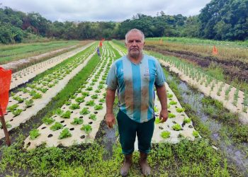 Compra direta garante renda para agricultura familiar de Campo Mourão e alimentação escolar de qualidade