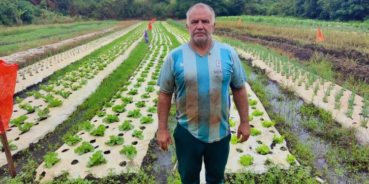 Compra direta garante renda para agricultura familiar de Campo Mourão e alimentação escolar de qualidade