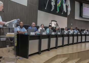 Pauta de trabalhos do Legislativo é aprovada na primeira sessão ordinária de 2025
