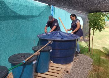 Projeto de criação de peixes em caixa de água visa incentivar produção familiar em Farol