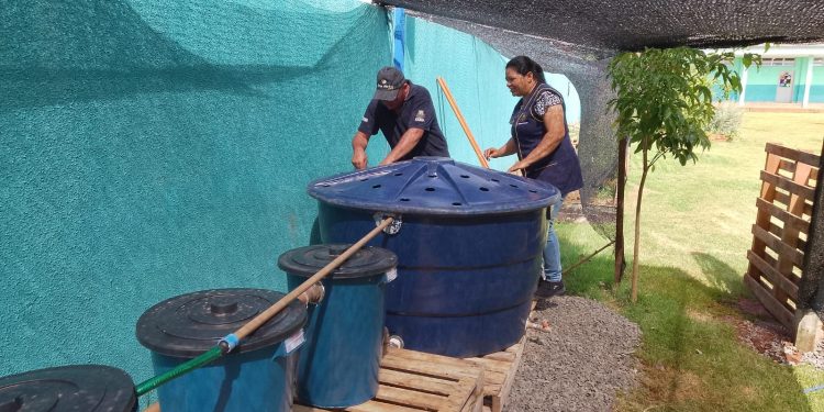 Projeto de criação de peixes em caixa de água visa incentivar produção familiar em Farol