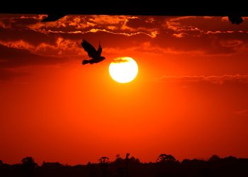 Chuvas perdem força e temperaturas seguem altas em março no Paraná, prevê Simepar
