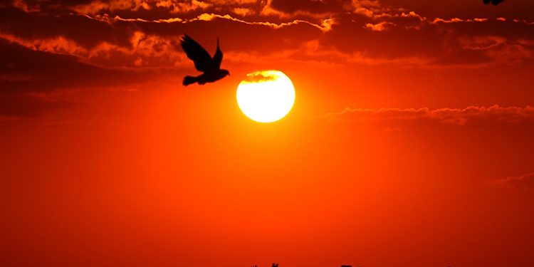 Chuvas perdem força e temperaturas seguem altas em março no Paraná, prevê Simepar