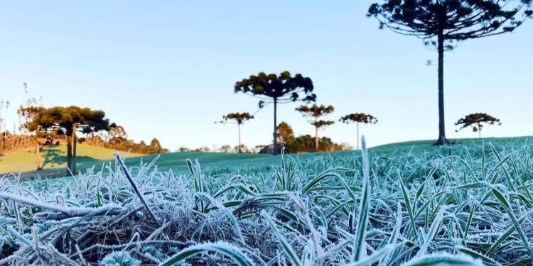 IDR-Paraná e Simepar iniciam serviço Alerta Geada na segunda-feira