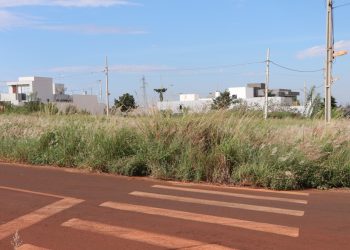 Prefeitura de Campo Mourão notifica mais 48 imóveis por falta de limpeza