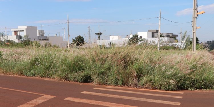 Prefeitura de Campo Mourão notifica mais 48 imóveis por falta de limpeza