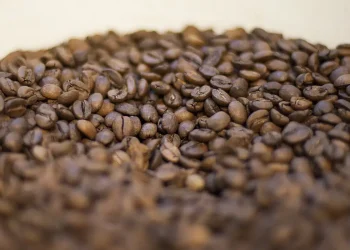 Governo reprova três marcas de café por serem impróprias para consumo