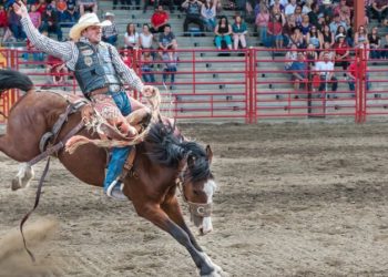 Estrutura para o rodeio da Festa do Carneiro no Buraco em licitação