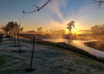 Geada dá as caras nas cidades, mas frio deve diminuir nos próximos dias no Paraná