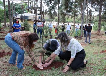 Semana do Meio Ambiente 2025 reforça compromisso de Campo Mourão com sustentabilidade e educação ambiental