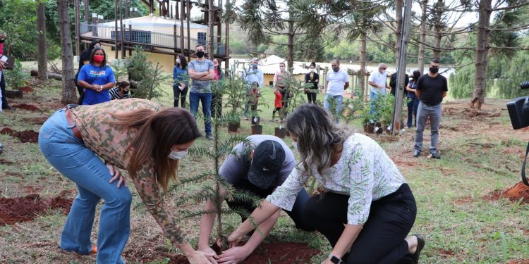 Semana do Meio Ambiente 2025 reforça compromisso de Campo Mourão com sustentabilidade e educação ambiental