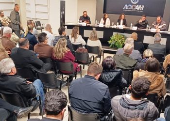 Vice-presidente Fabíola Casoto comandou a reunião da Acicam