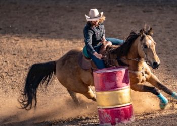 Rodeio e Prova de Tambores prometem agitar a programação da 30ª Festa Nacional do Carneiro no Buraco de Campo Mourão