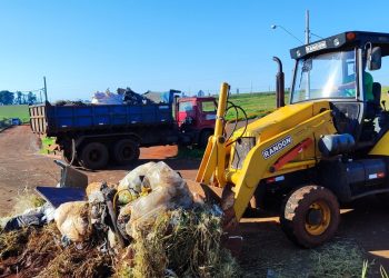 Prefeitura de Campo Mourão notifica mais 59 proprietários de terrenos por falta de limpeza