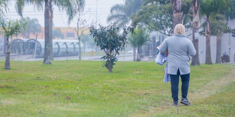 Julho começa com temperaturas negativas no Paraná, registra o Simepar