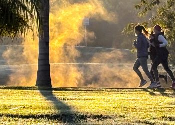 Apesar da chuva no início do mês, julho deve ser seco e com temperatura na média no Paraná