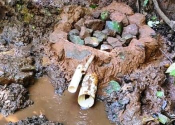 Projeto garantiu proteção de mais de 80 nascentes no município de Campo Mourão