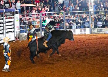 Rodeio da 30ª Festa Nacional do Carneiro no Buraco reúne grandes competidores e emociona público em Campo Mourão