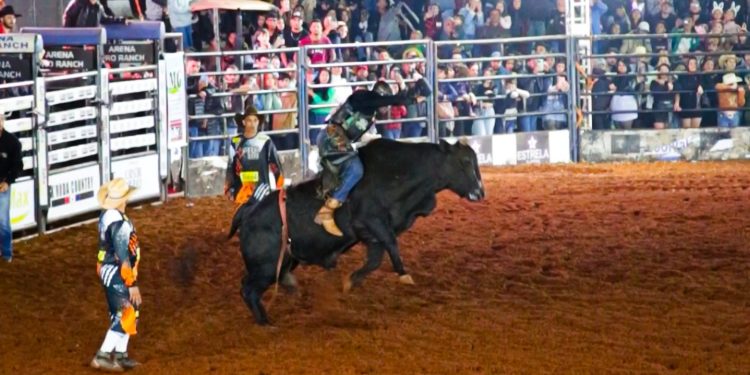 Rodeio da 30ª Festa Nacional do Carneiro no Buraco reúne grandes competidores e emociona público em Campo Mourão