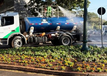 Prefeitura de Campo Mourão mantém plantio e cuidados com canteiros urbanos com flores produzidas em seu próprio Horto Municipal