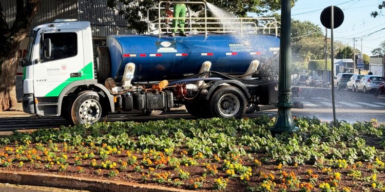 Prefeitura de Campo Mourão mantém plantio e cuidados com canteiros urbanos com flores produzidas em seu próprio Horto Municipal