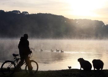 Com nova massa de ar polar, temperaturas negativas voltam ao Paraná no fim de semana