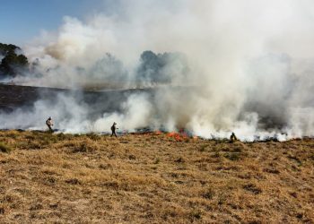 Atear fogo em lixo em terrenos baldios responde por mais de 30% dos incêndios no Paraná