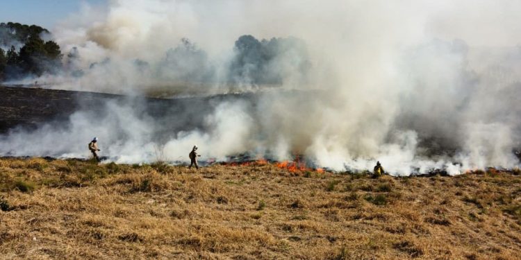 Atear fogo em lixo em terrenos baldios responde por mais de 30% dos incêndios no Paraná