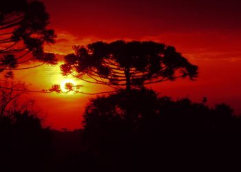 Julho foi seco e gelado, com temperaturas abaixo da média histórica, aponta Simepar
