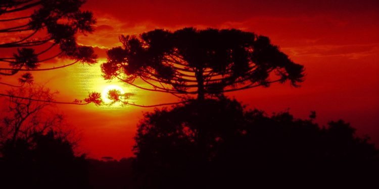 Julho foi seco e gelado, com temperaturas abaixo da média histórica, aponta Simepar