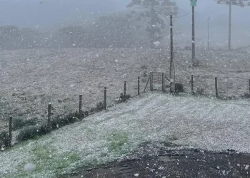 Rio Grande do Sul registra neve em algumas localidades