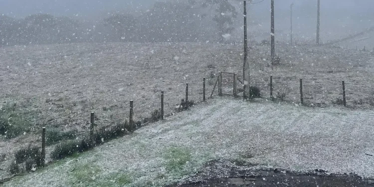 Rio Grande do Sul registra neve em algumas localidades
