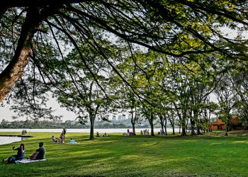 Reta final do inverno: setembro começa na segunda com mais calor e chuvas mais intensas