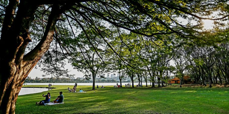 Reta final do inverno: setembro começa na segunda com mais calor e chuvas mais intensas