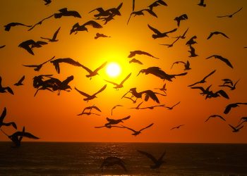 Amplitude térmica e diferenças regionais marcam o tempo no Paraná no fim de semana