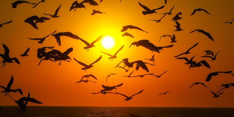 Amplitude térmica e diferenças regionais marcam o tempo no Paraná no fim de semana