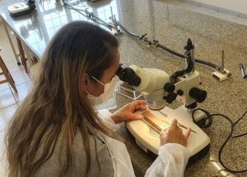 Saúde adota nova metodologia para monitoramento da dengue em Campo Mourão