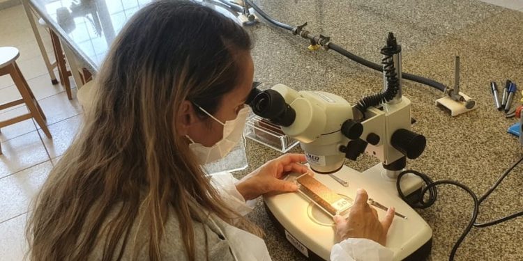 Saúde adota nova metodologia para monitoramento da dengue em Campo Mourão