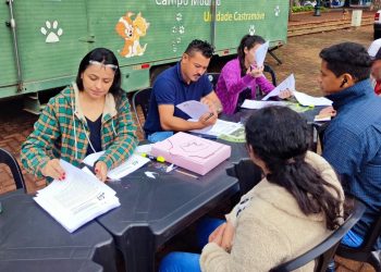 Campo Mourão abre inscrições para castramóvel neste sábado (20)