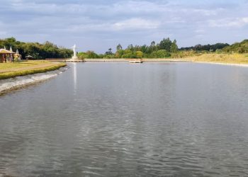 Lago do Parque das Flores é revitalizado em Farol