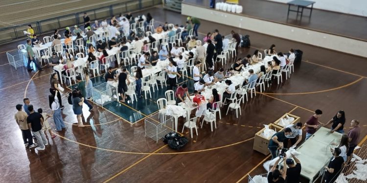 Mutirão: Produção de fraldas reúne funcionários da Coamo