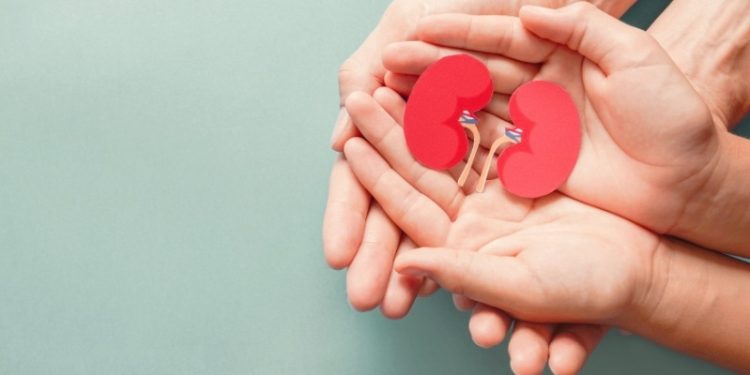 Campanha “Setembro Verde” reforça importância da doação de órgãos