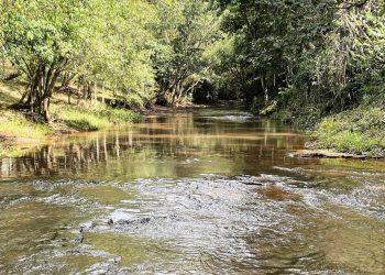 Campo Mourão realiza ação em comemoração ao Dia Mundial de Limpeza de Rios e Praias