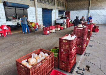 Dia Mundial da Alimentação é marcado por ações das secretarias de Educação e Agricultura