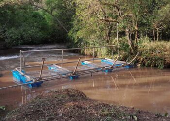 Empregados da Sanepar criam ecobarreira para proteger manancial de Campo Mourão