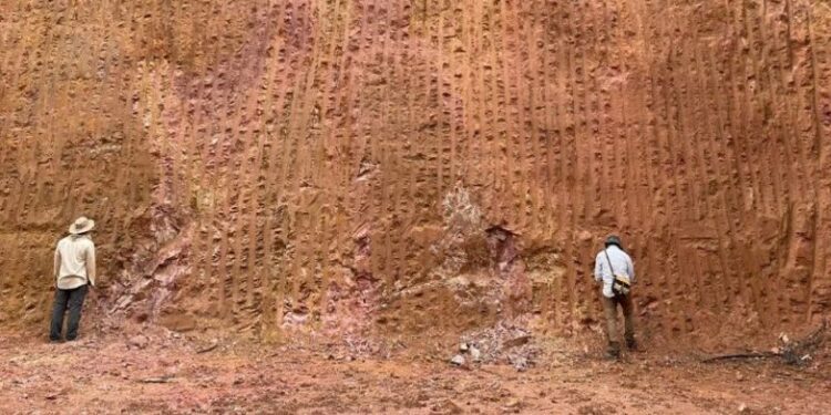 Cidades mineiras se preparam para exploração de enorme jazida de terras raras